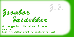 zsombor haidekker business card